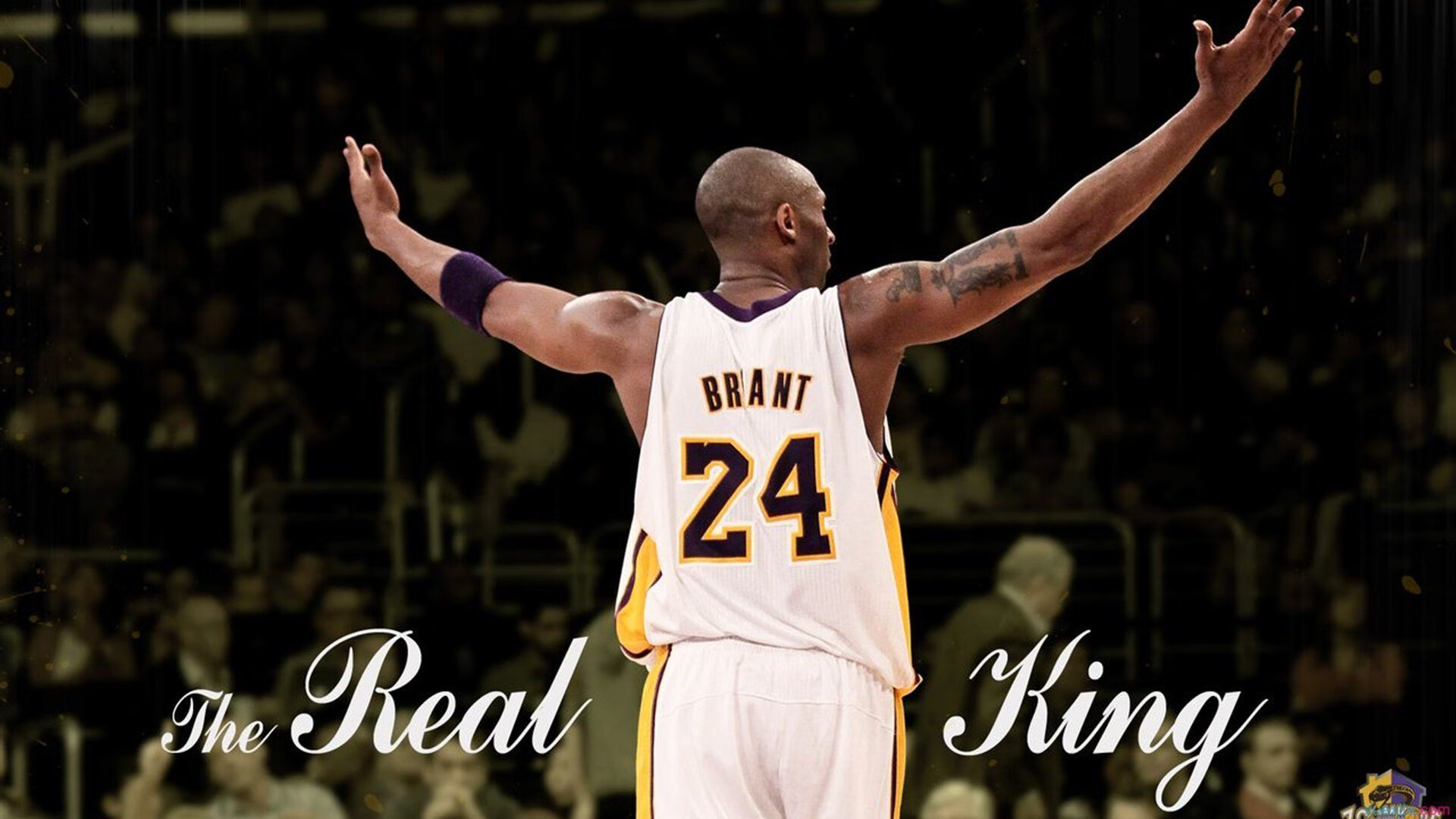 “未来之星”青少年篮球科技创新奖在北京隆重颁发,鼓励科技引领行业发展